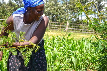 lady farming in Africa