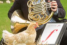Chicken next to trumpet for classical fm