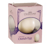 ostrich egg