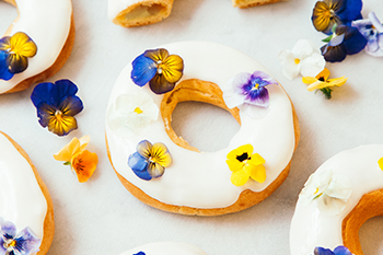 Juliet Sear's chouxnuts - Clarence Court Recipes